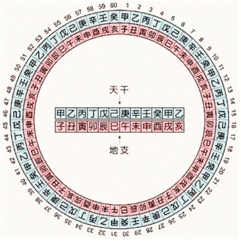 1989 天干地支|天干属性 干支纪年对照表